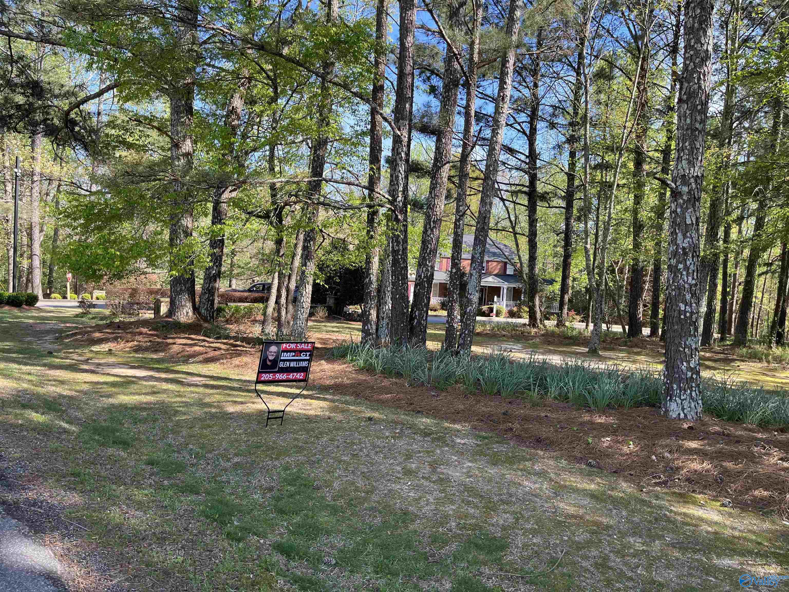 LOT 1 Beech Ridge, Gadsden, Alabama image 9