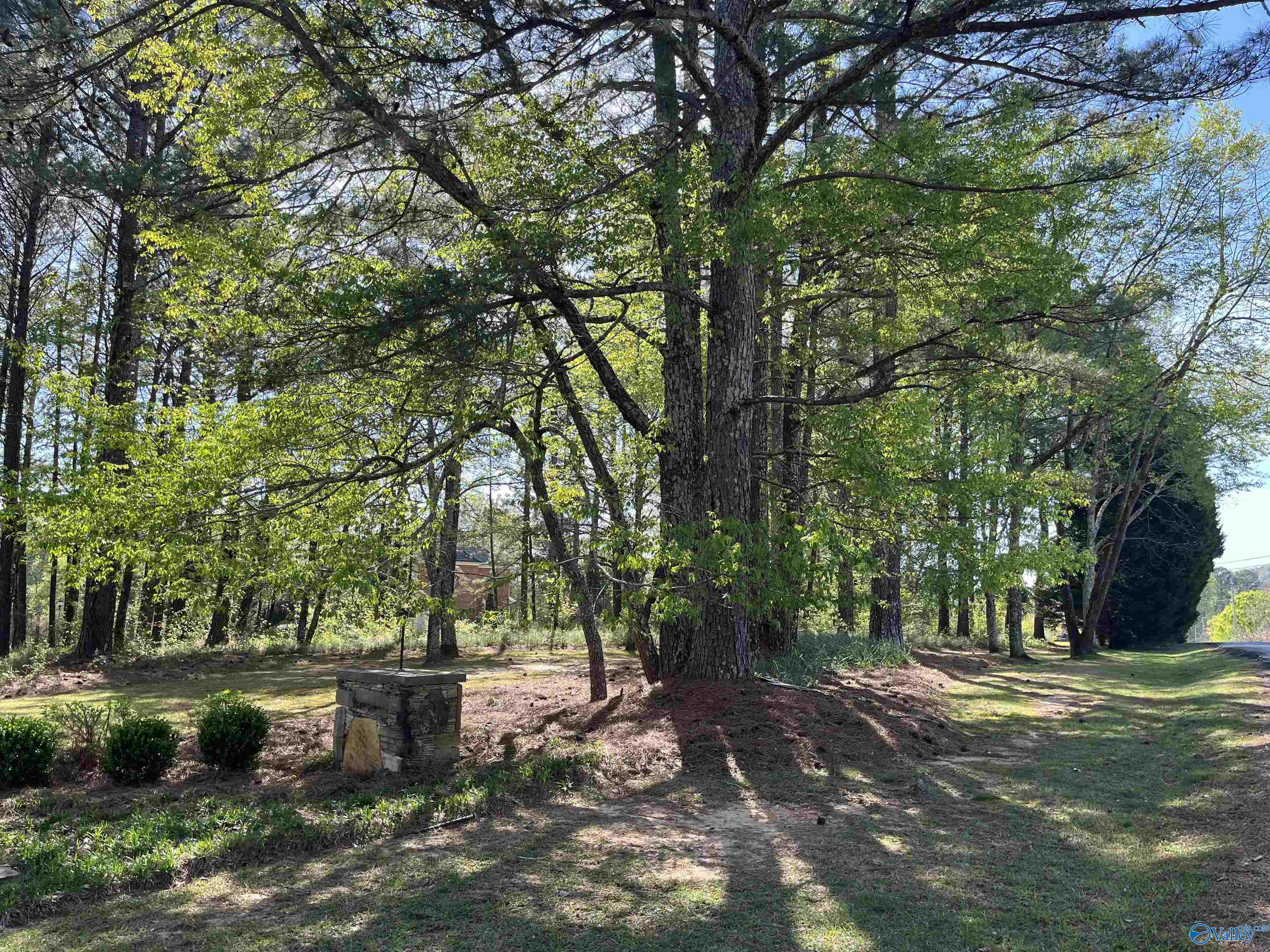 LOT 1 Beech Ridge, Gadsden, Alabama image 1