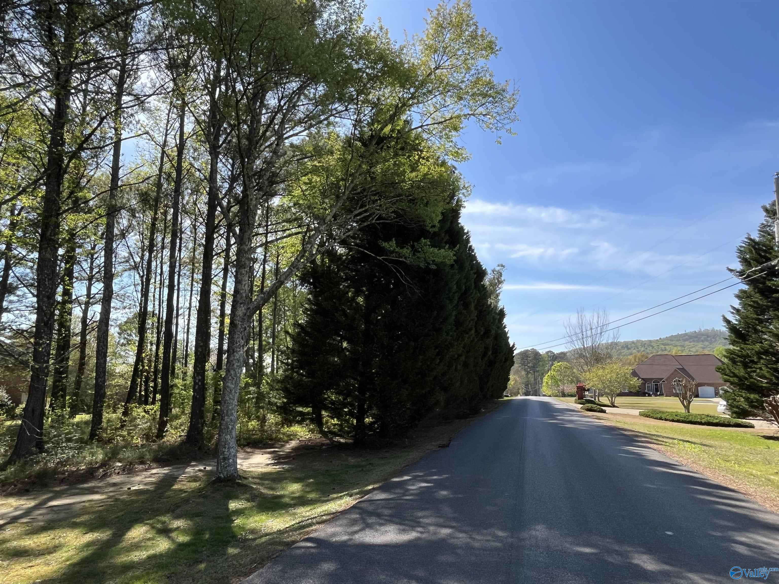 LOT 1 Beech Ridge, Gadsden, Alabama image 4