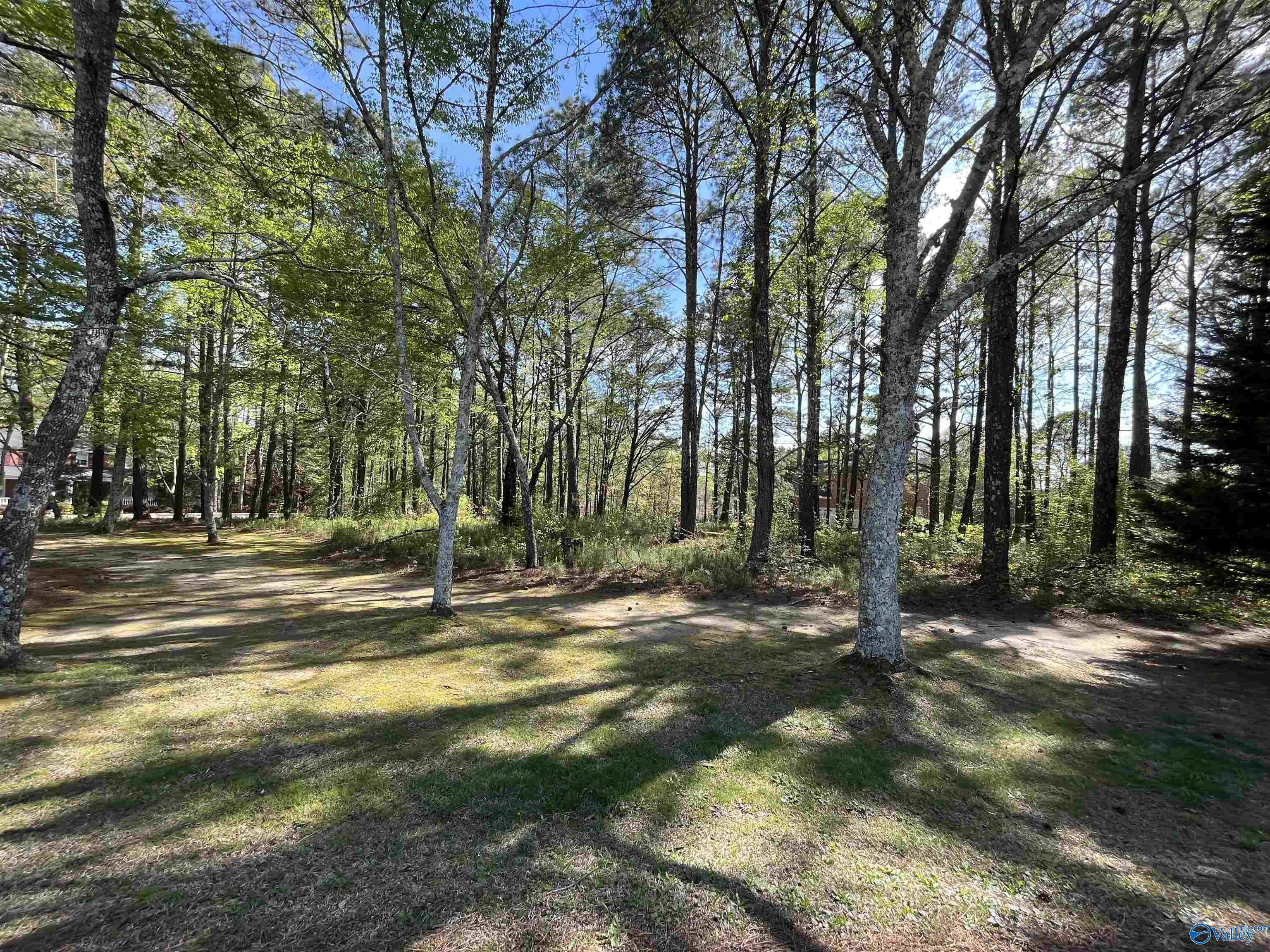 LOT 1 Beech Ridge, Gadsden, Alabama image 3