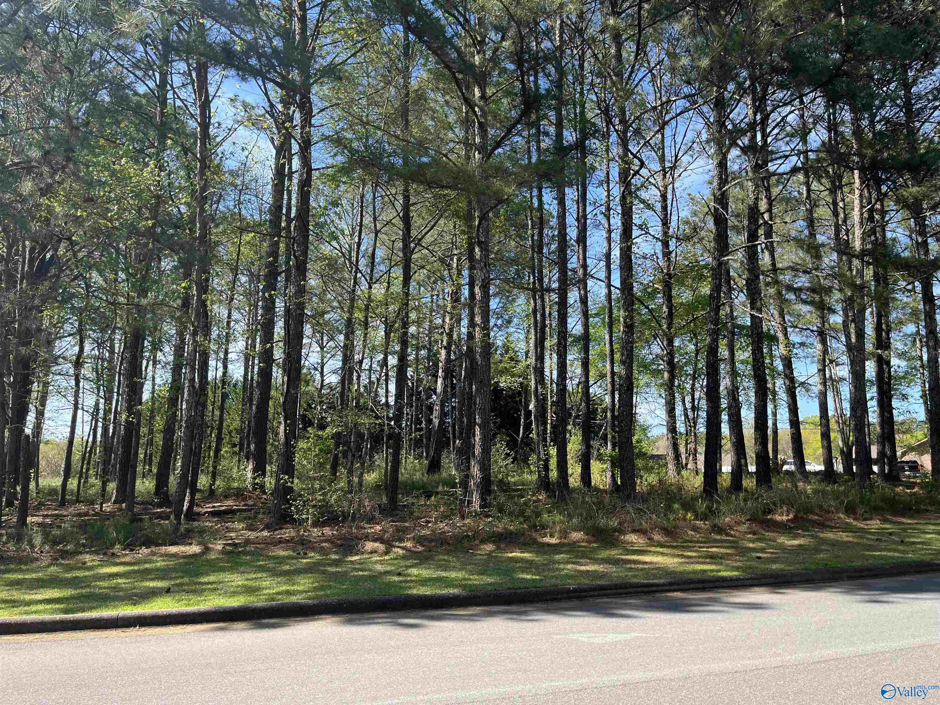 LOT 1 Beech Ridge, Gadsden, Alabama image 7