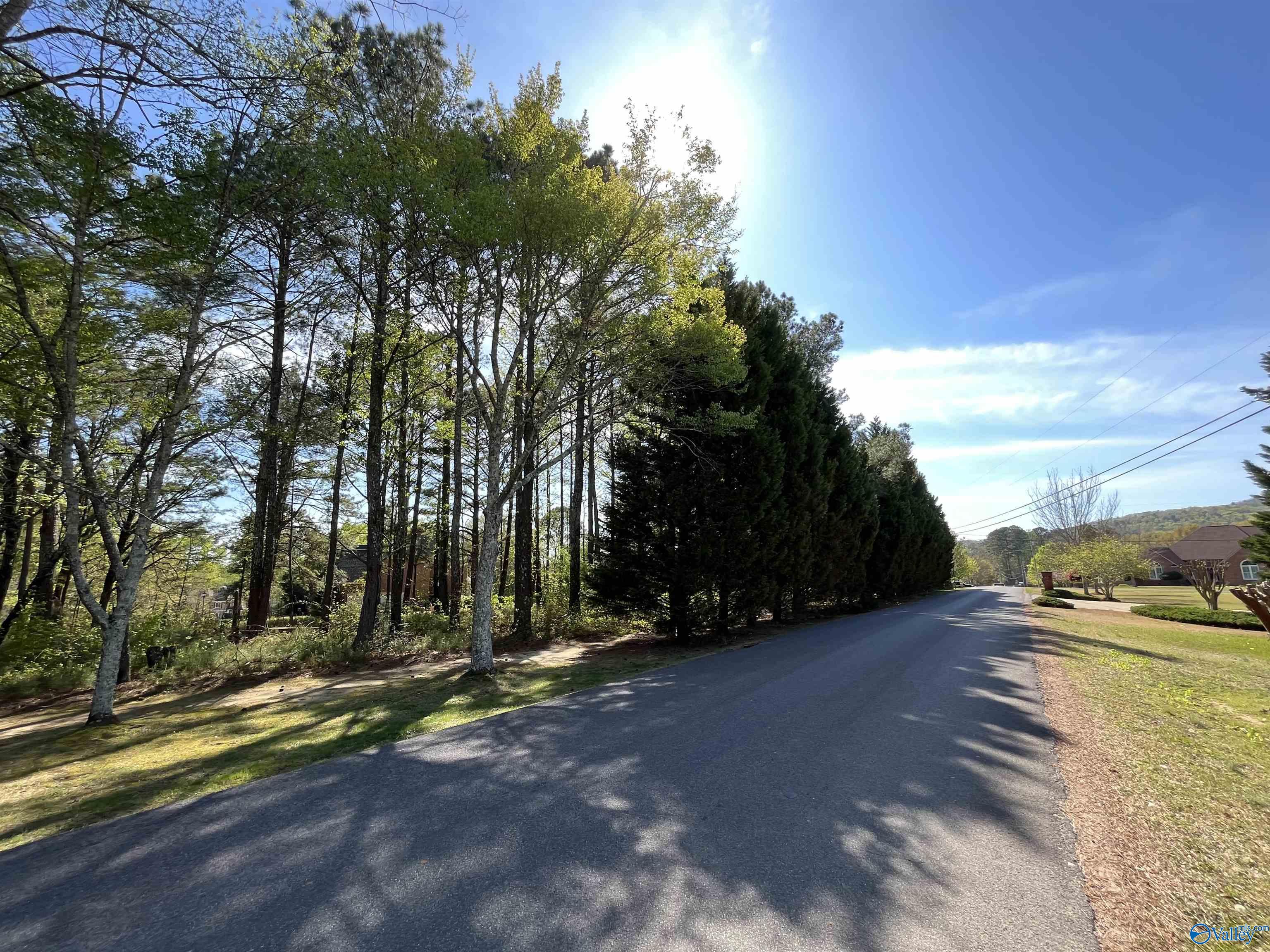 LOT 1 Beech Ridge, Gadsden, Alabama image 5