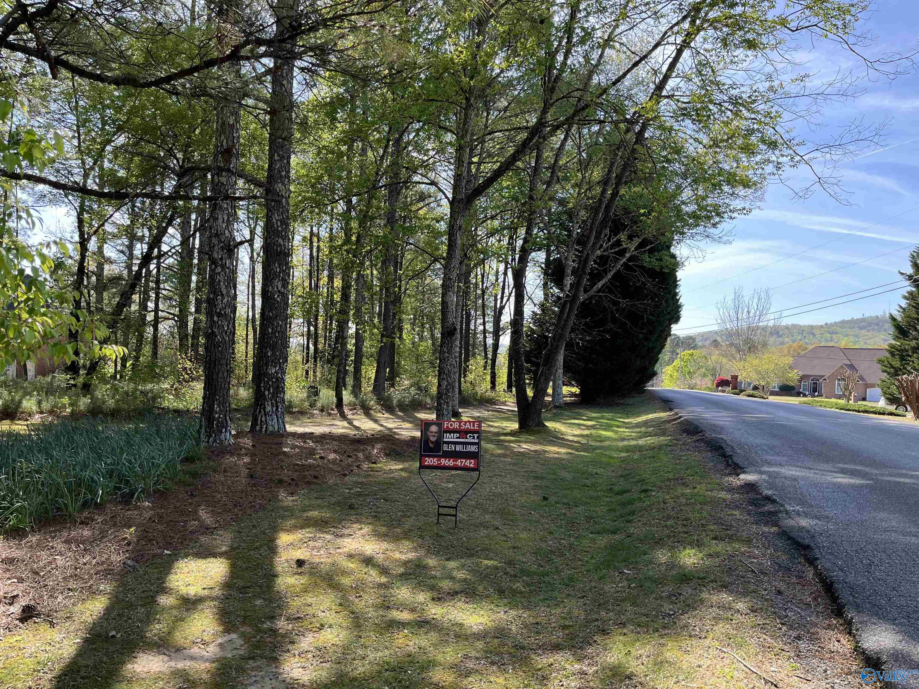 LOT 1 Beech Ridge, Gadsden, Alabama image 10