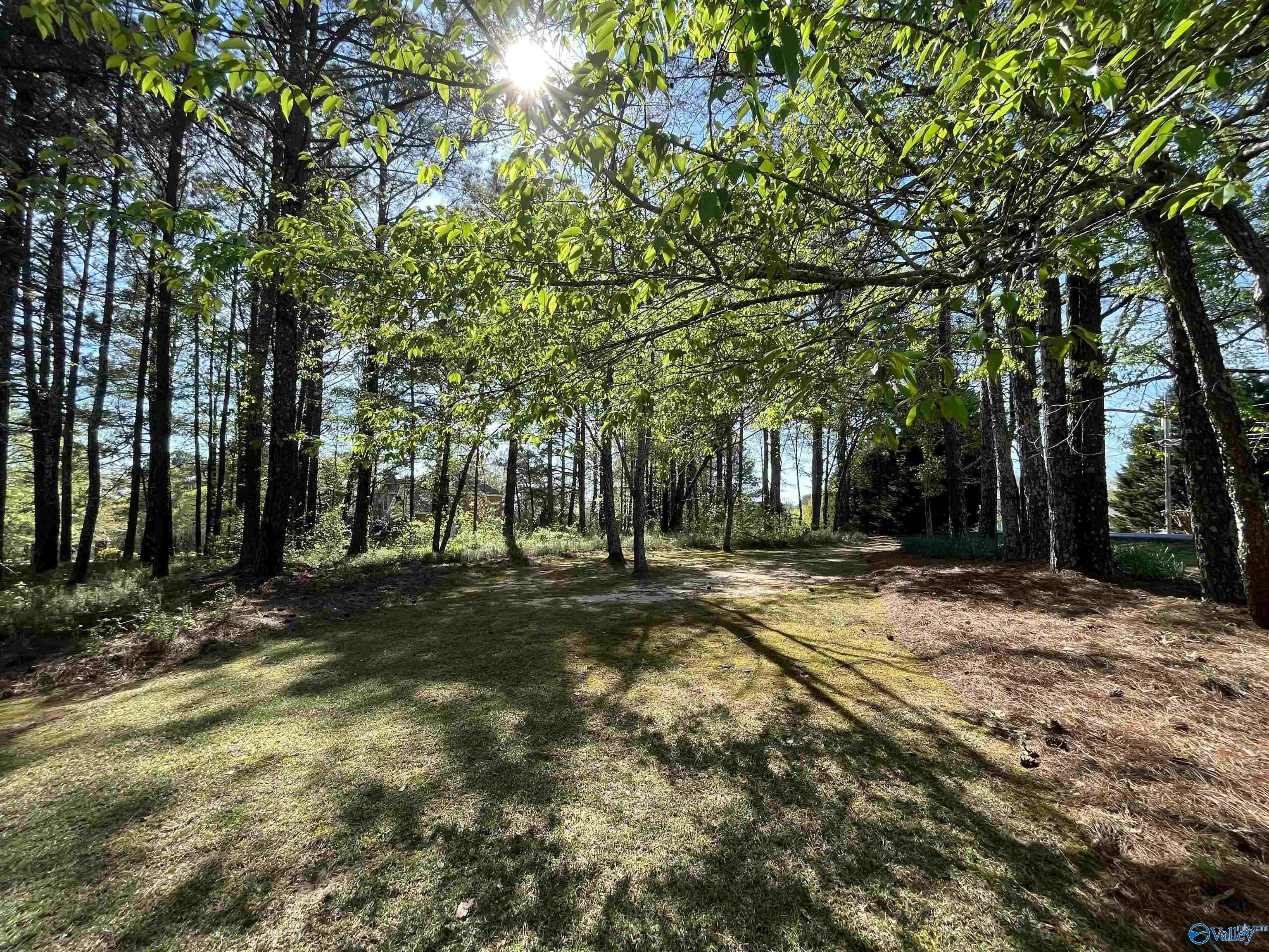 LOT 1 Beech Ridge, Gadsden, Alabama image 6