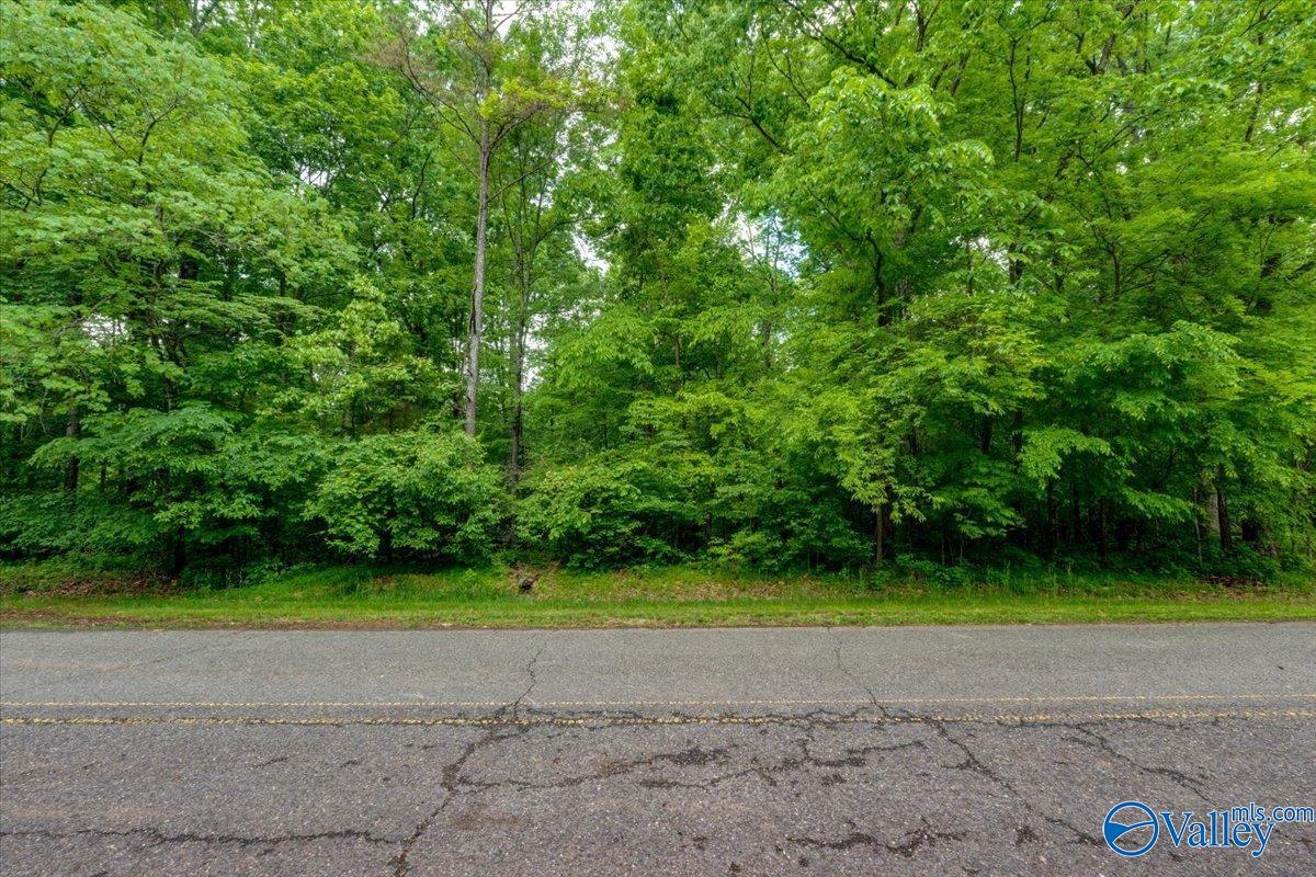 24431 Hickory Drive, Elkmont, Alabama image 1