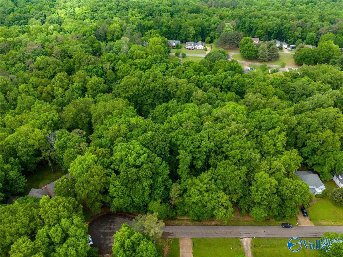24431 Hickory Drive, Elkmont, Alabama image 5
