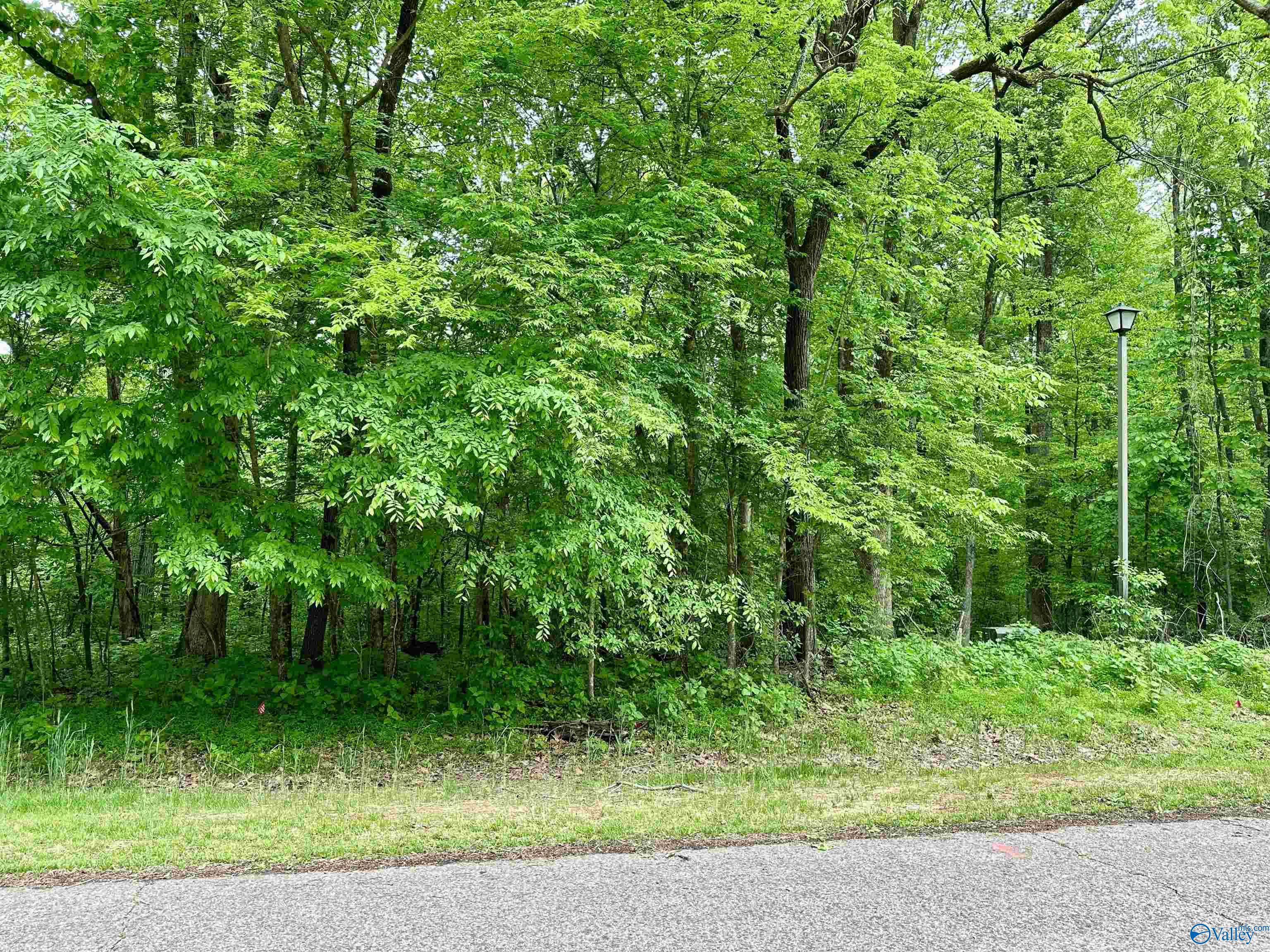 24431 Hickory Drive, Elkmont, Alabama image 3