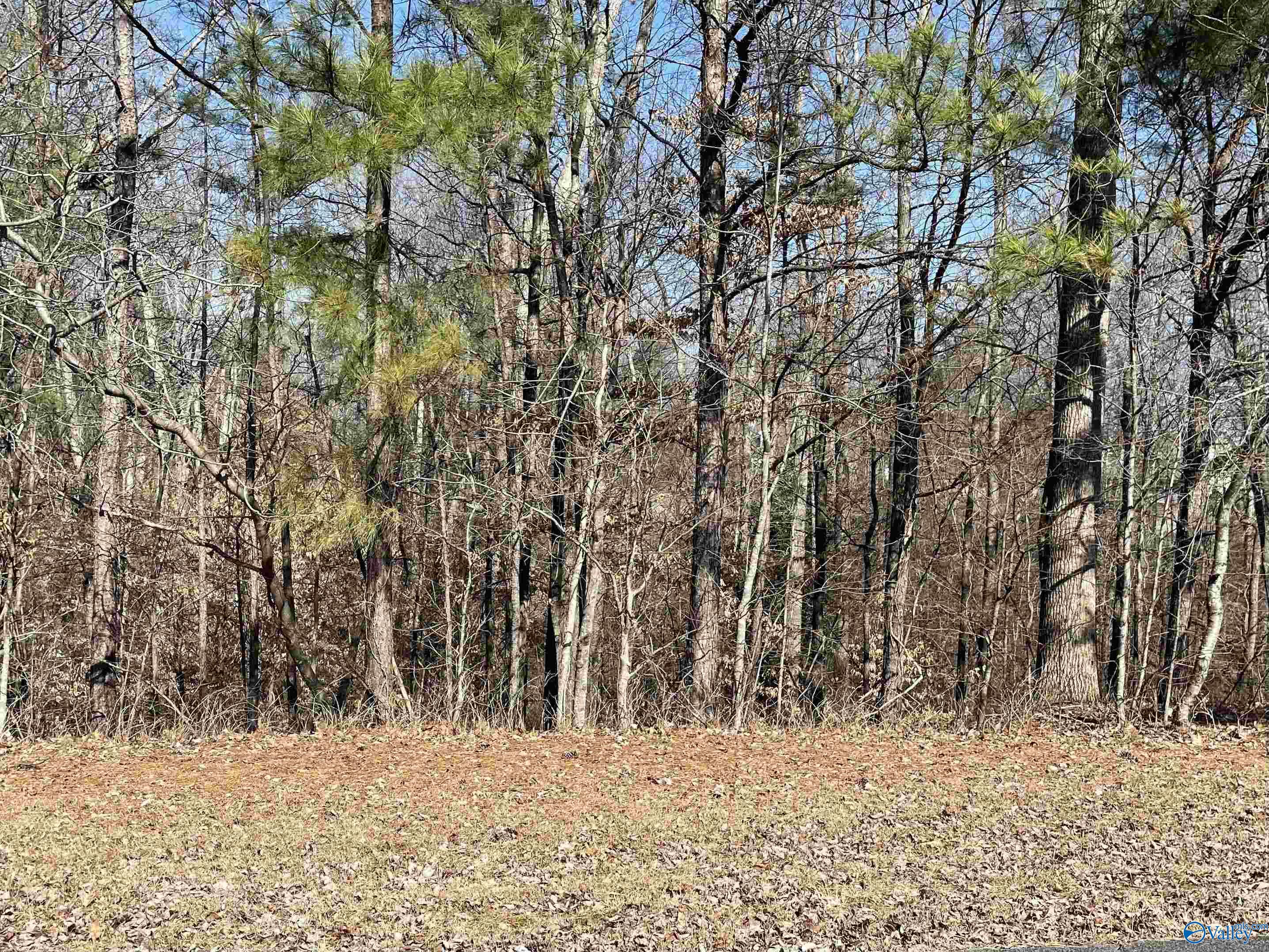 Lot 19 Lot 19 Deer Walk, Guntersville, Alabama image 1