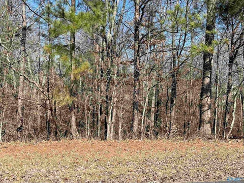 Vacant Land For Sale - LOT 19 Lot 19 Deer Walk<br/> Guntersville, AL 35976