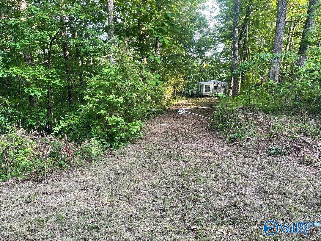 202 & 196 County Road 206, Arley, Alabama image 4