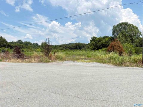 Vacant Land For Sale - +/-3 AC Cox Avenue<br/> Stevenson, AL 35772