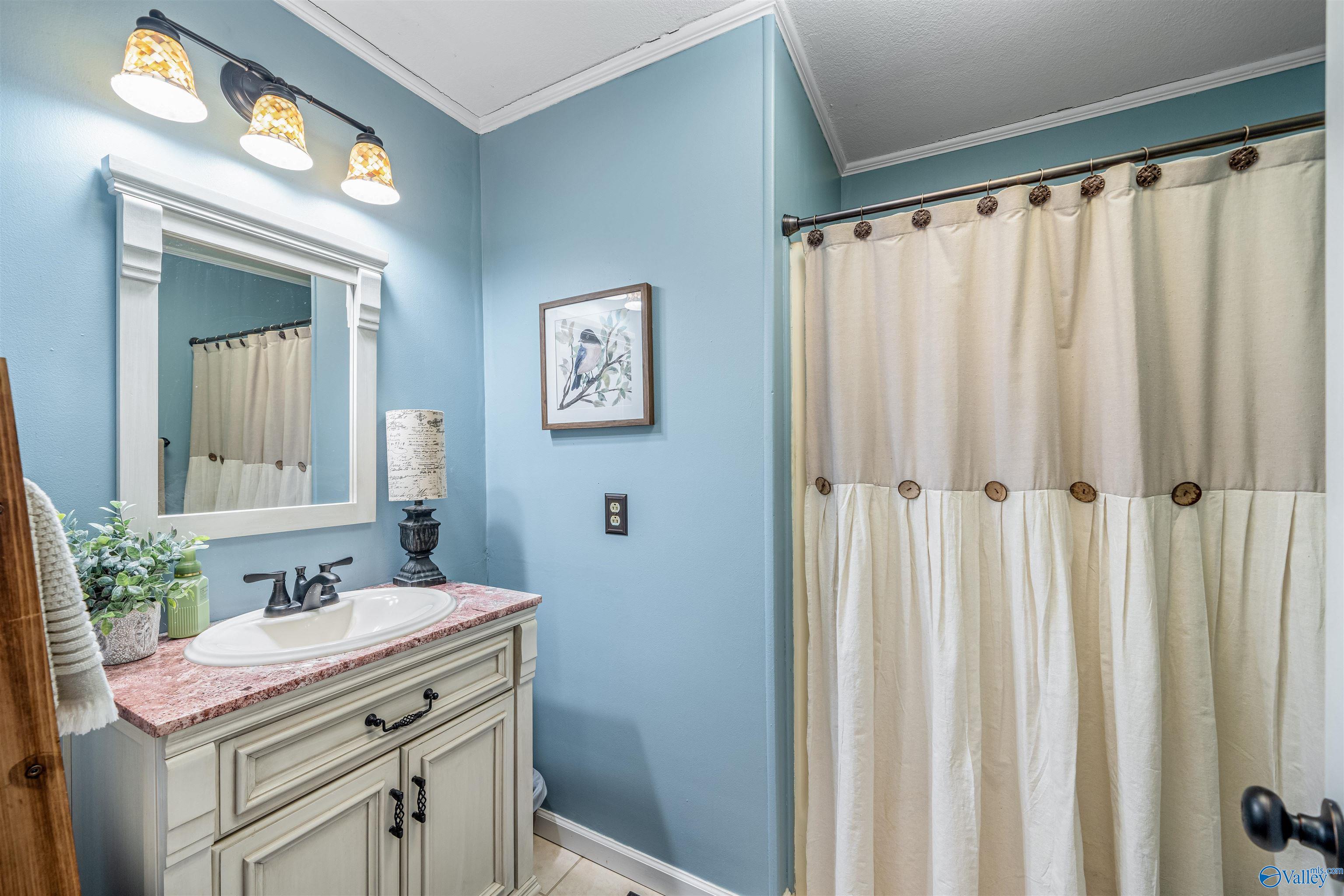 394 Scott Avenue, Rainsville, Alabama image 21