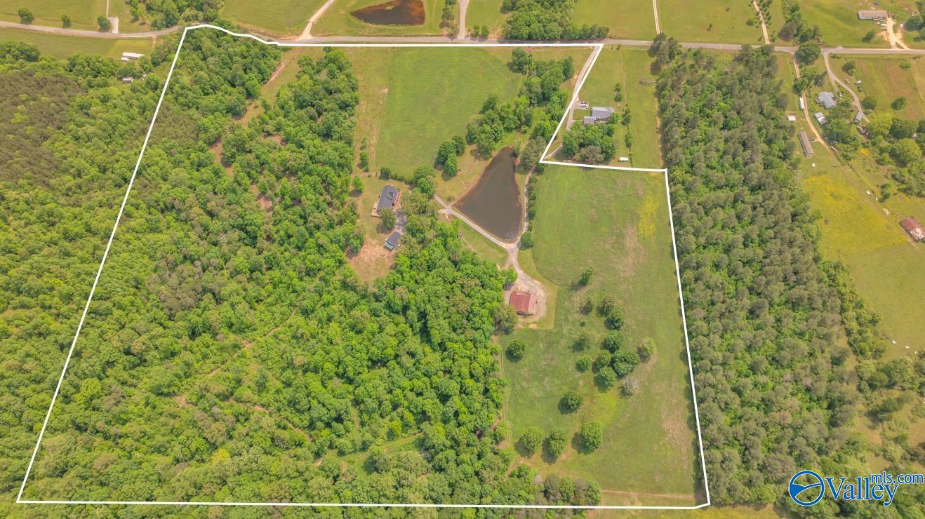 261 County Road 165, Pisgah, Alabama image 42