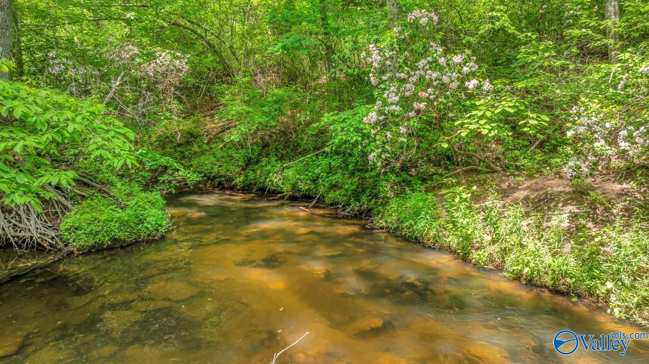 261 County Road 165, Pisgah, Alabama image 44