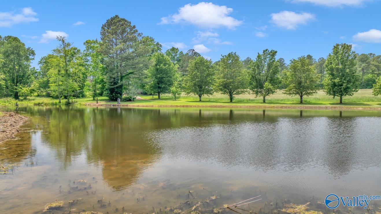261 County Road 165, Pisgah, Alabama image 34