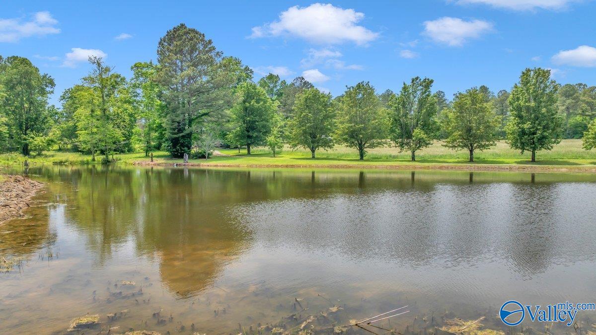 261 County Road 165, Pisgah, Alabama image 45
