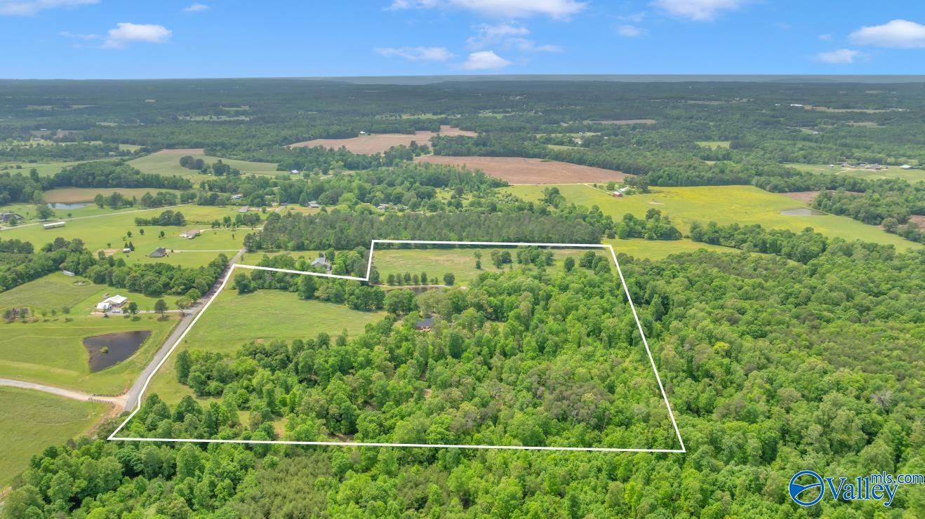 261 County Road 165, Pisgah, Alabama image 4