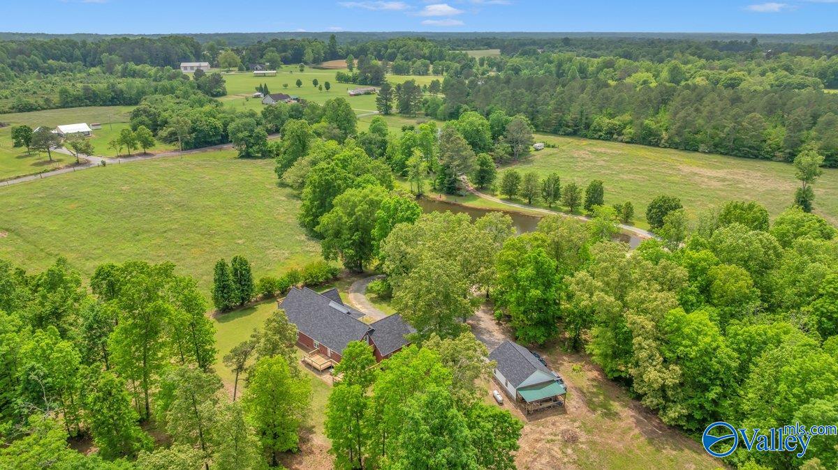 261 County Road 165, Pisgah, Alabama image 48