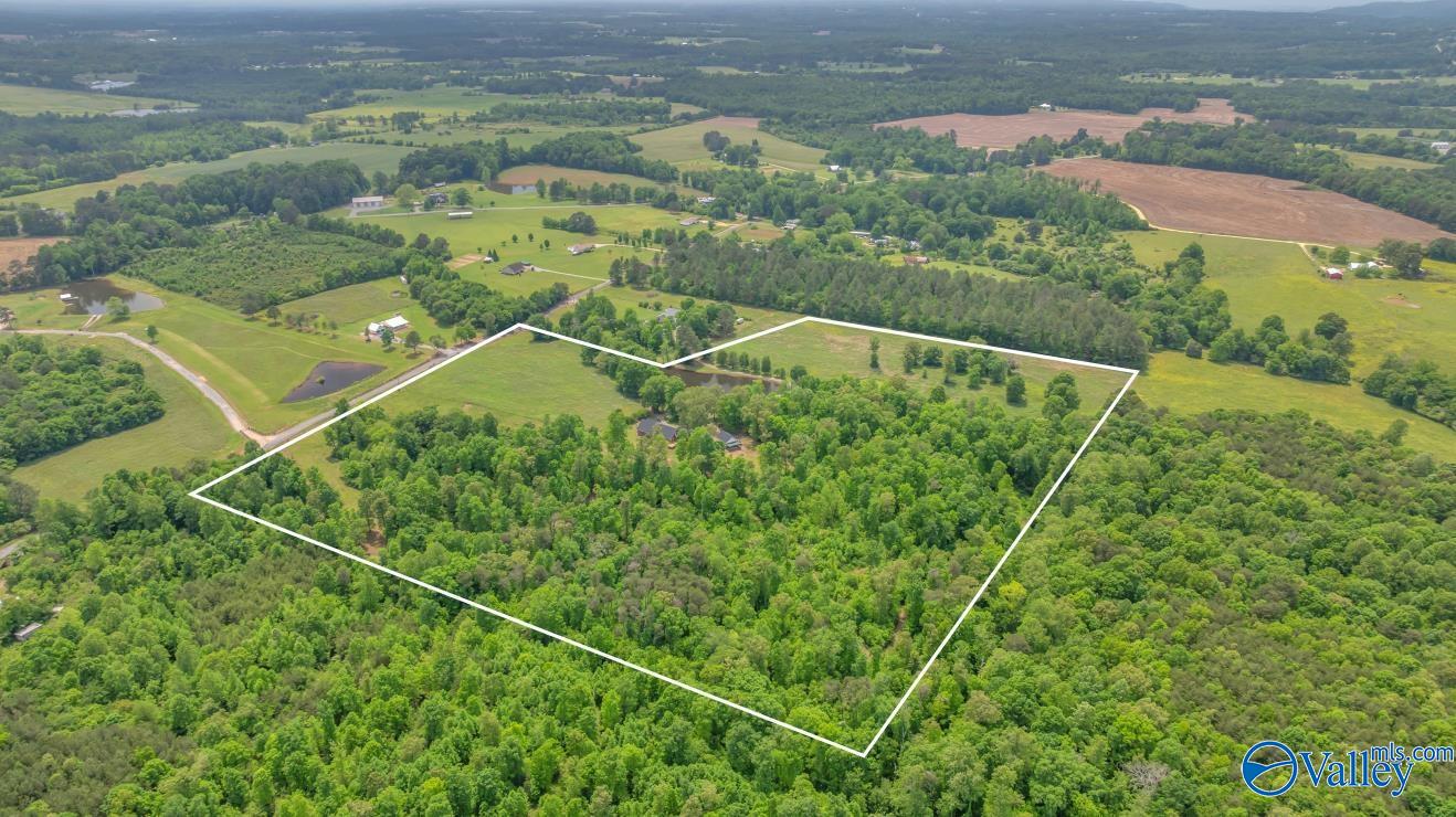 261 County Road 165, Pisgah, Alabama image 43