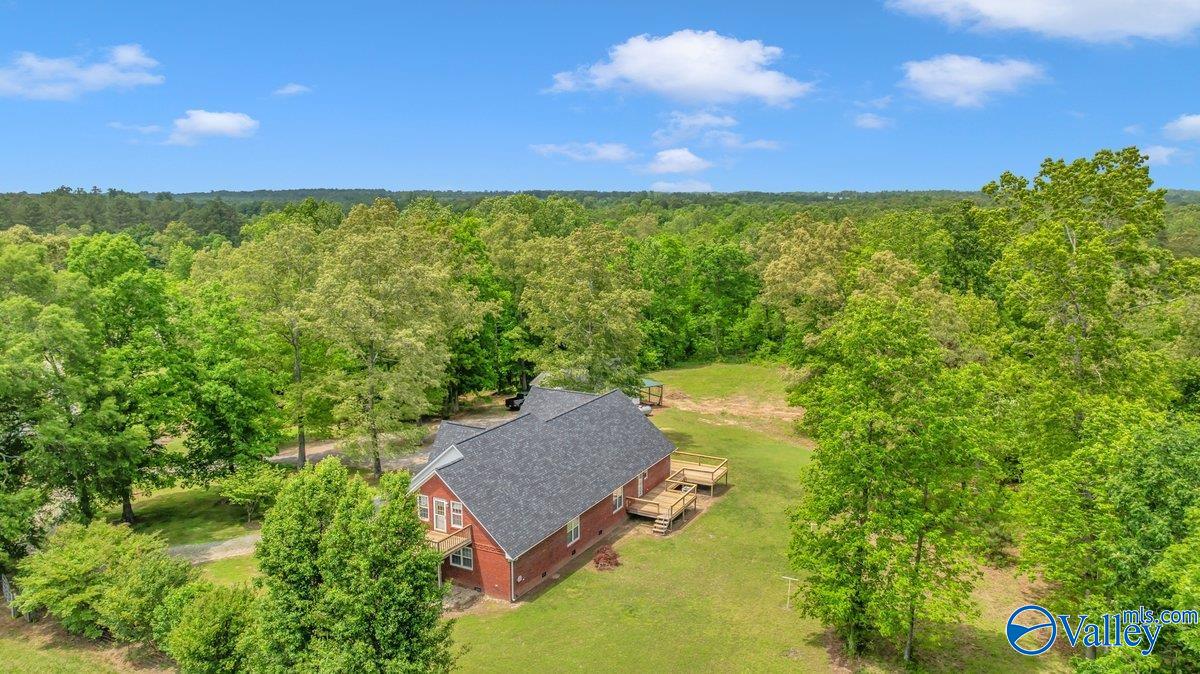 261 County Road 165, Pisgah, Alabama image 5