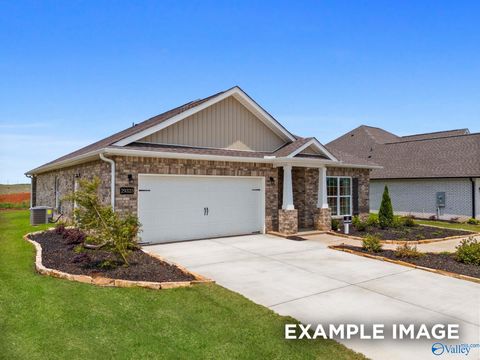 Photo of 159 Ivy Vine Drive, Toney, AL 35773 (MLS # 21905263)