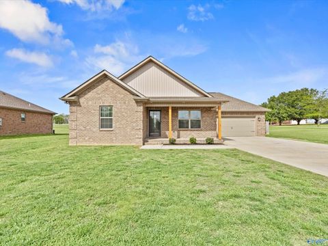 27731 Salem Minor Hill Road Lester AL 35647