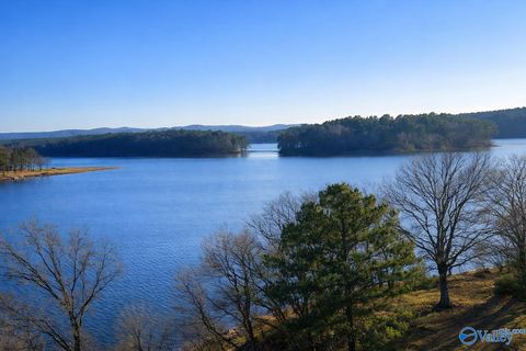 Vacant Land For Sale - LOT 29 County Road 789 #LOT 29<br/> Cherokee County, Centre, AL 35960