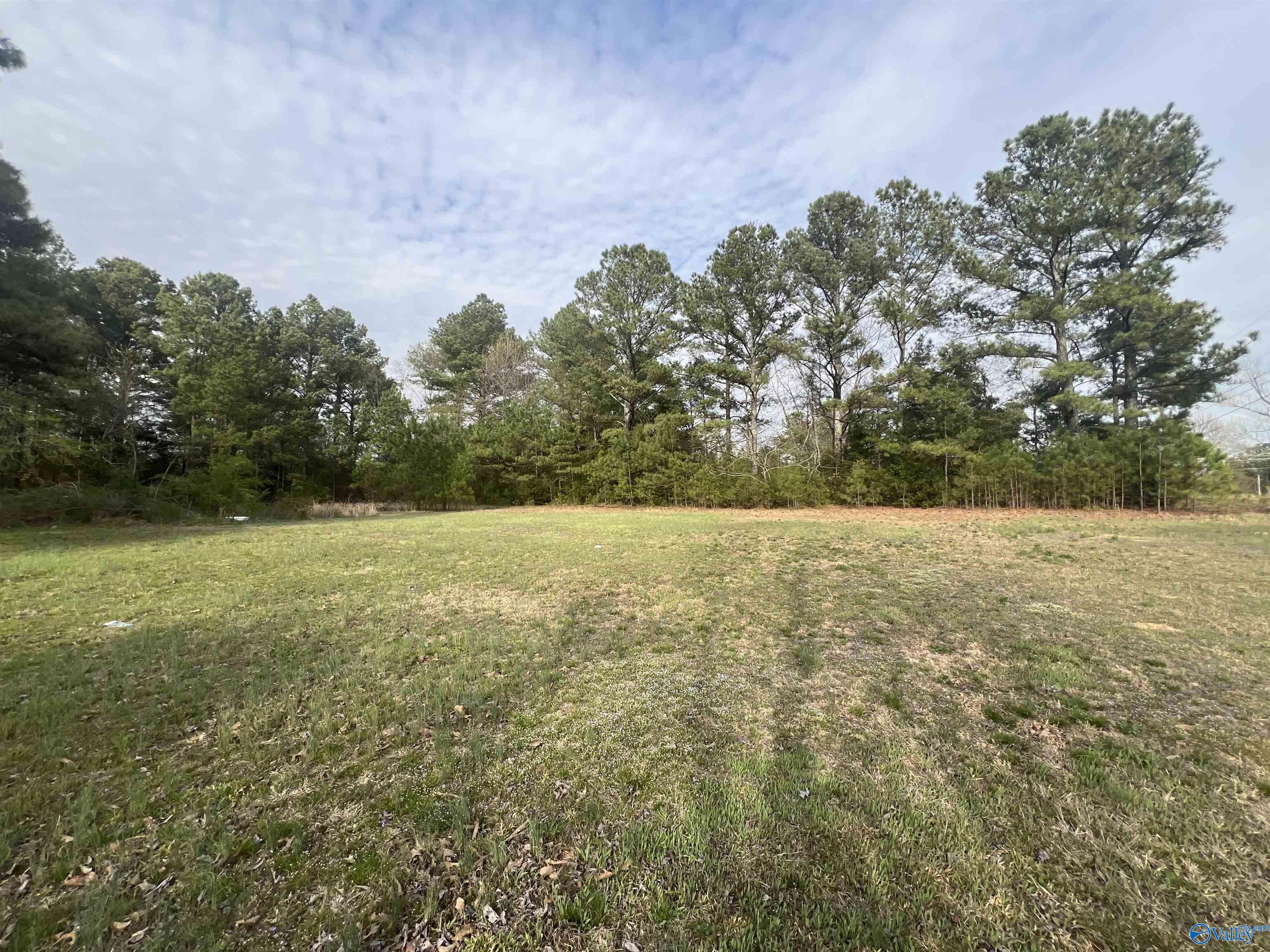 Lot 9 Doris Drive, Harvest, Alabama image 2