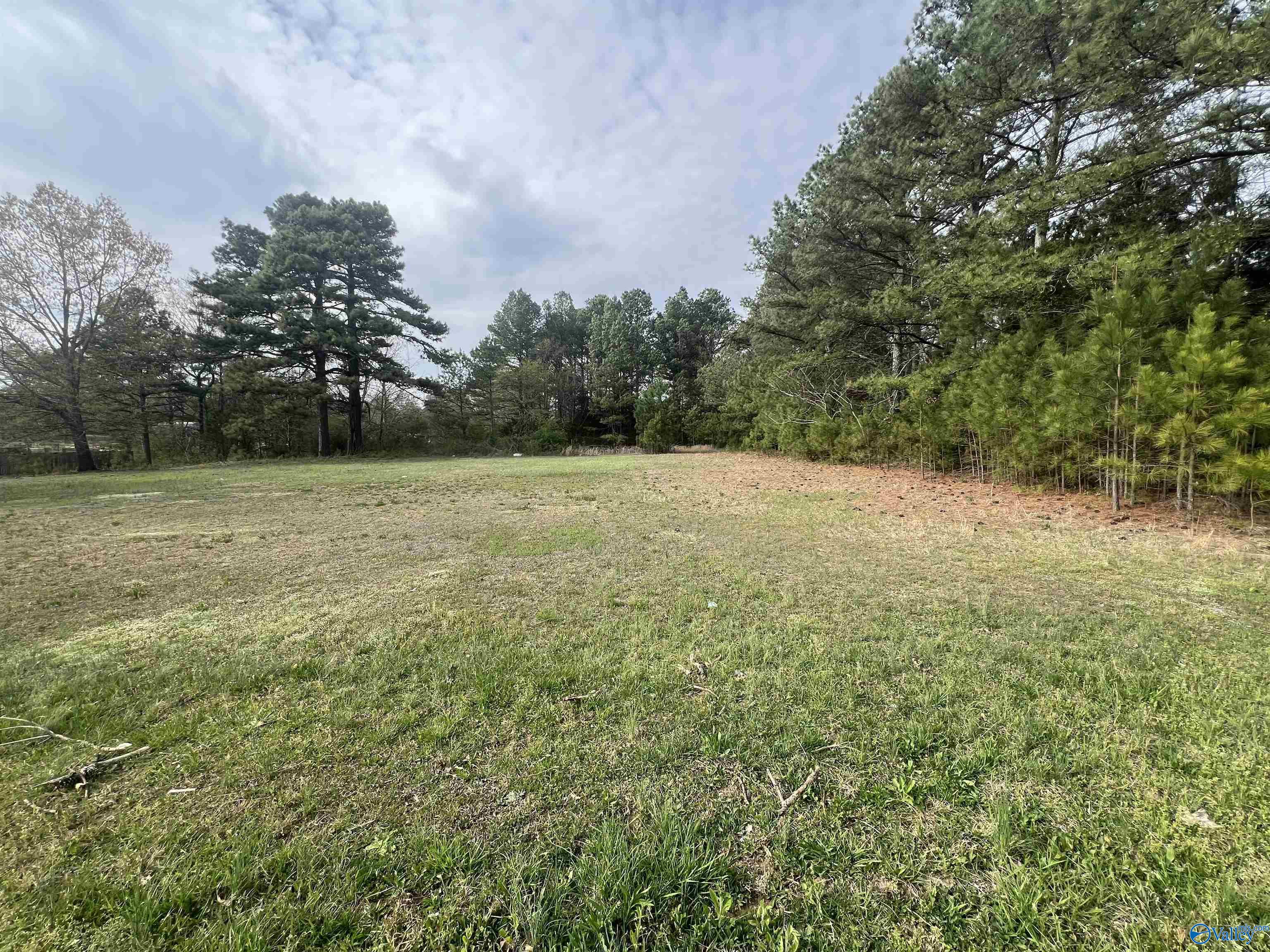 Lot 9 Doris Drive, Harvest, Alabama image 1