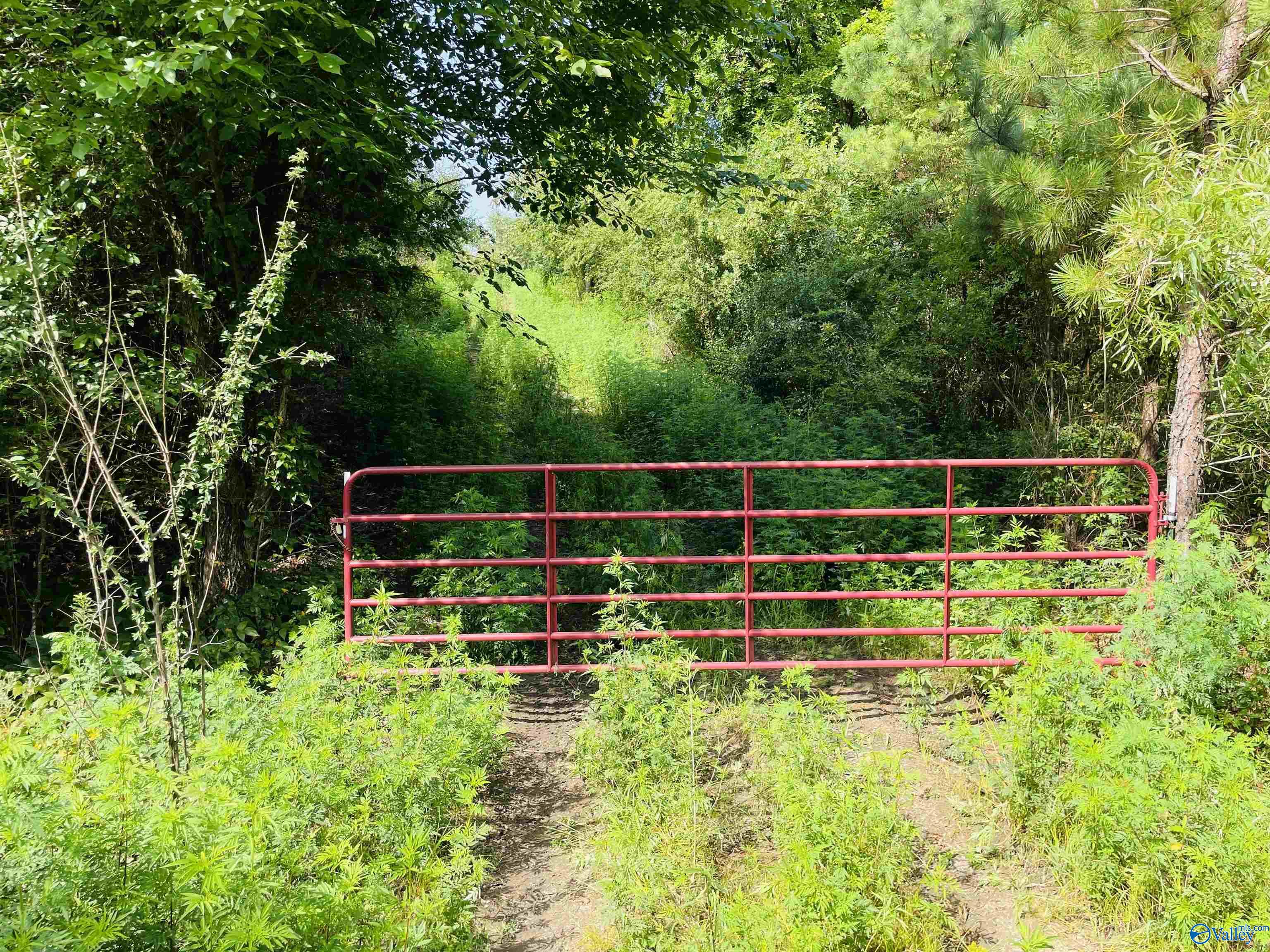 200 Ac County Road 81, Flat Rock, Alabama image 8