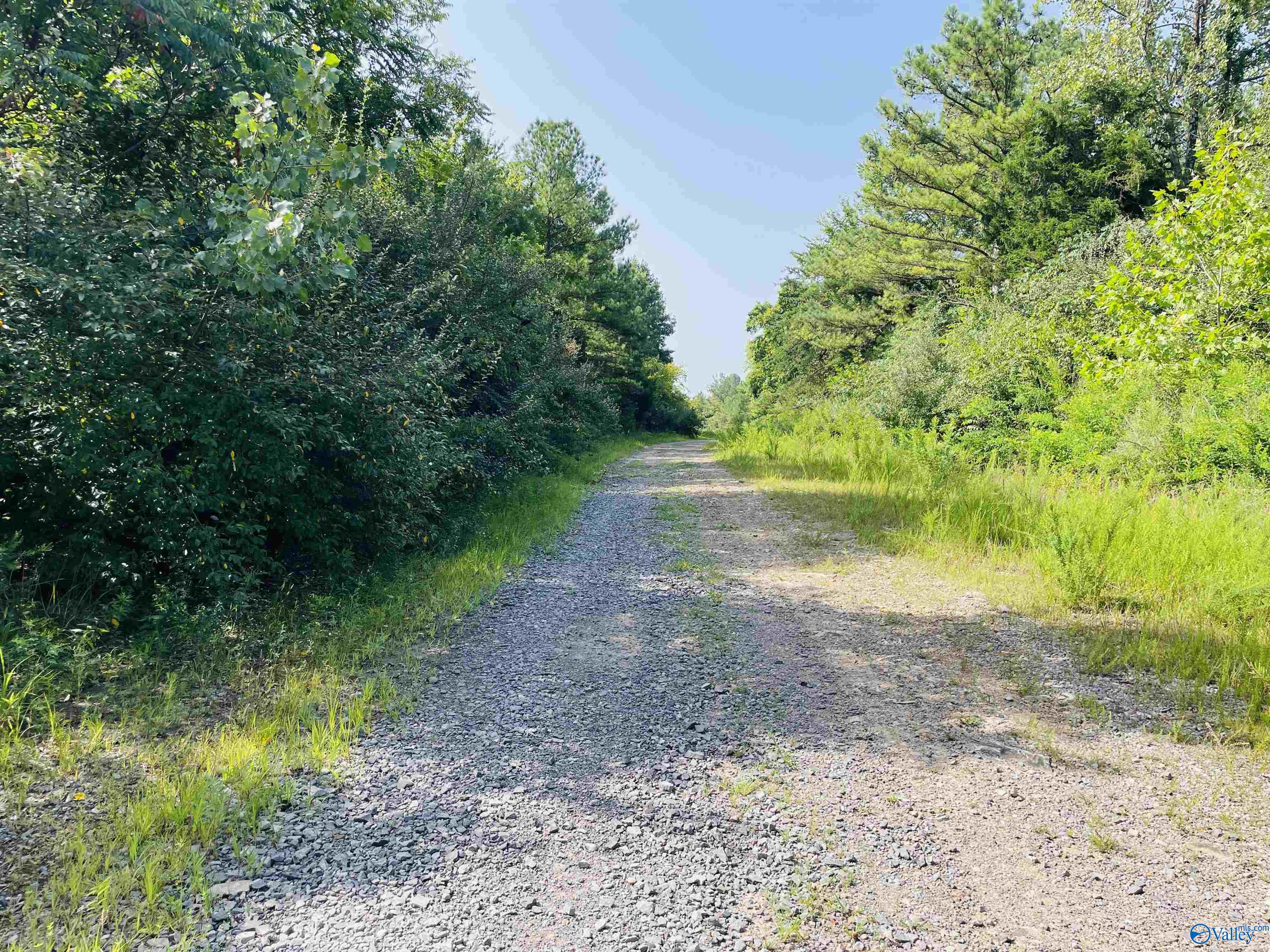 200 Ac County Road 81, Flat Rock, Alabama image 7