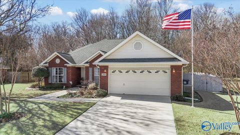 Homes For Sale - 244 Morning Star Drive<br/> Huntsville, AL 35811