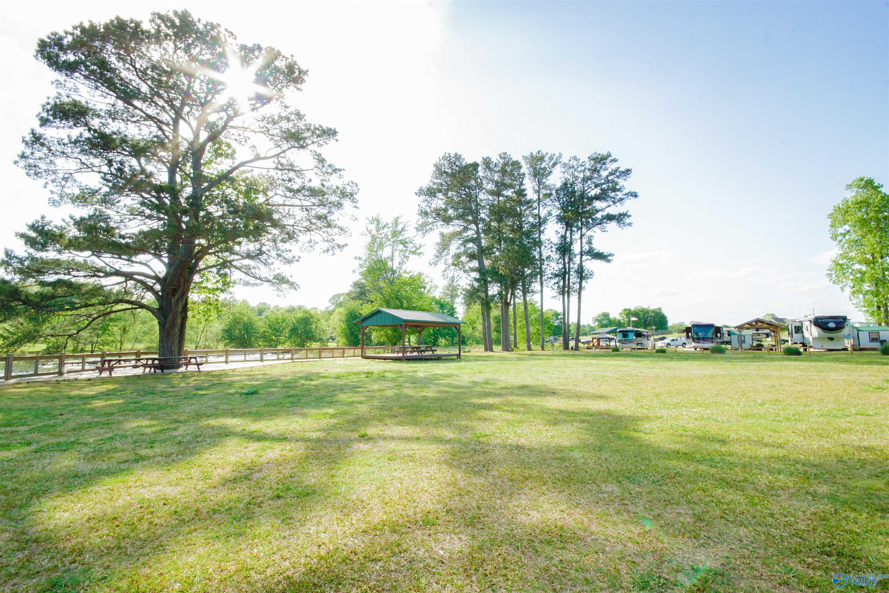10174 County Road 67 #LOT 12, Langston, Alabama image 11