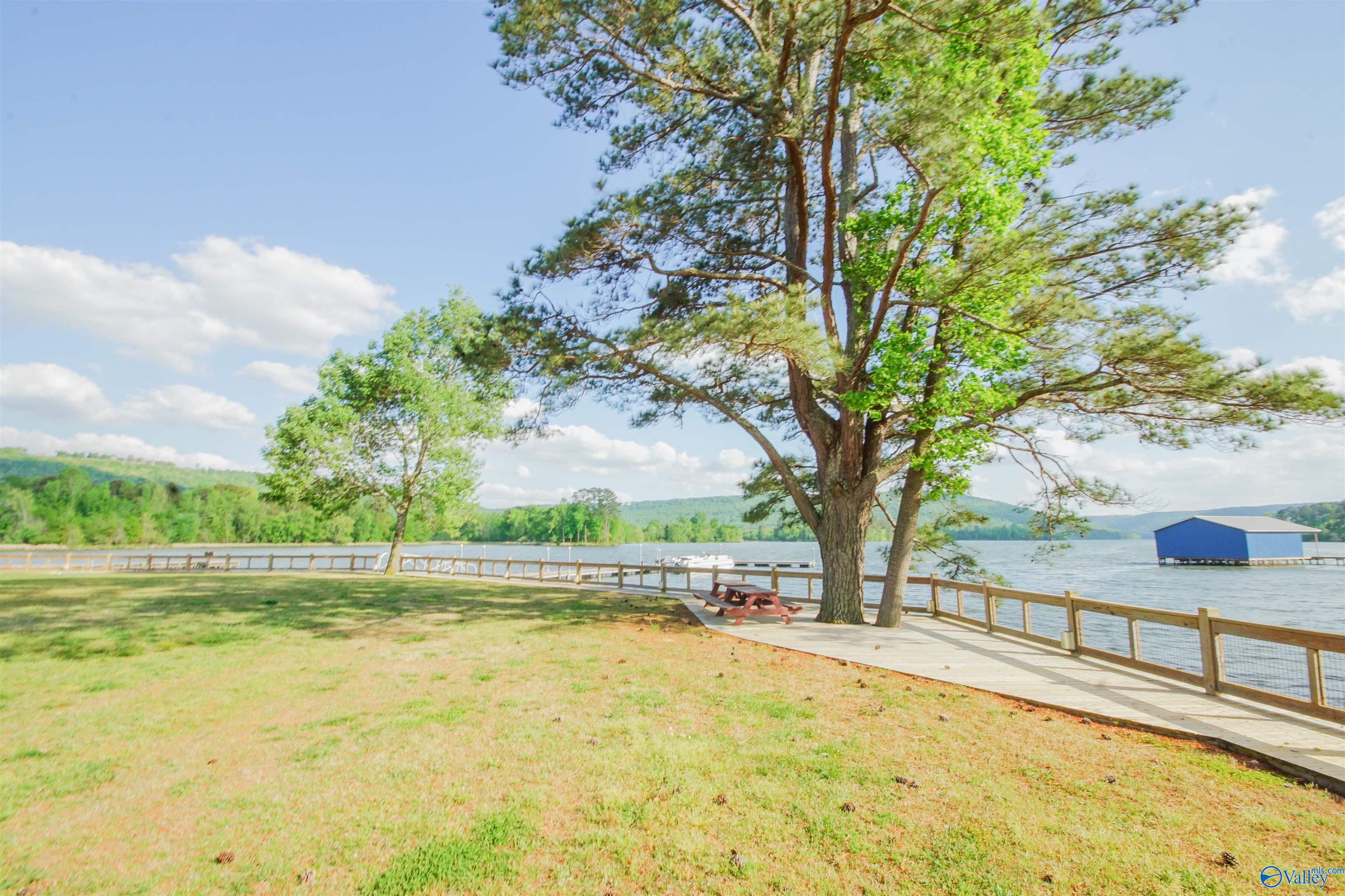 10174 County Road 67 #LOT 12, Langston, Alabama image 4