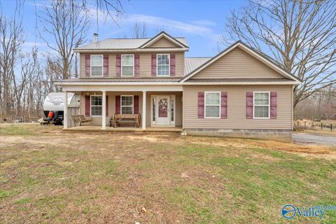 Photo of 9106 County Road 17, Woodville, AL 35776 (MLS # 21911552)