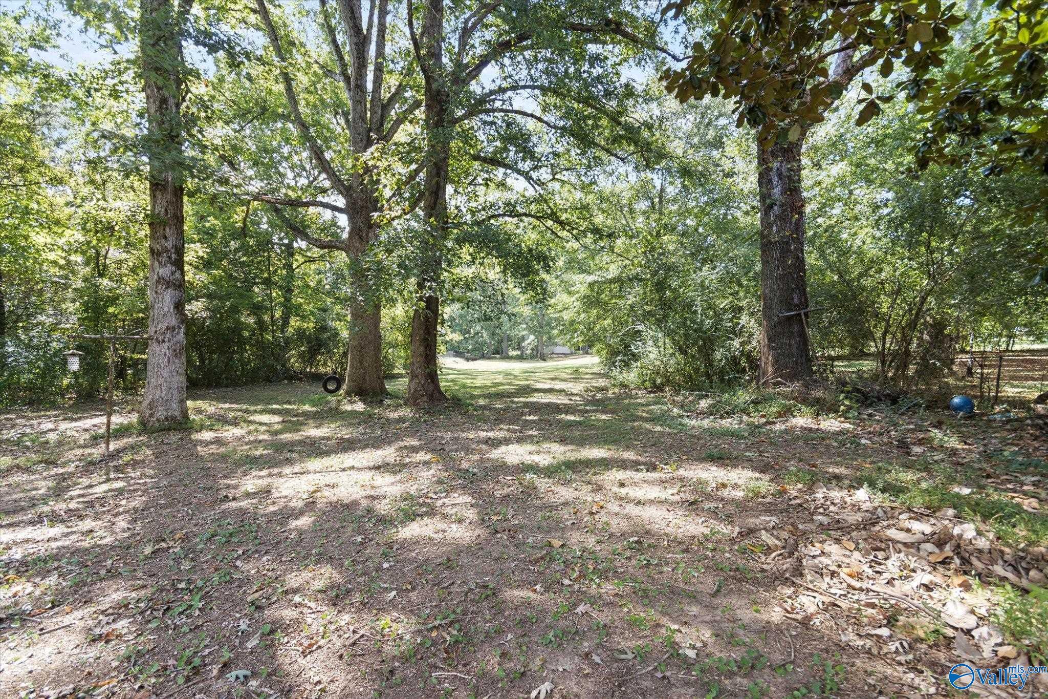 425 10th Street, Arab, Alabama image 30