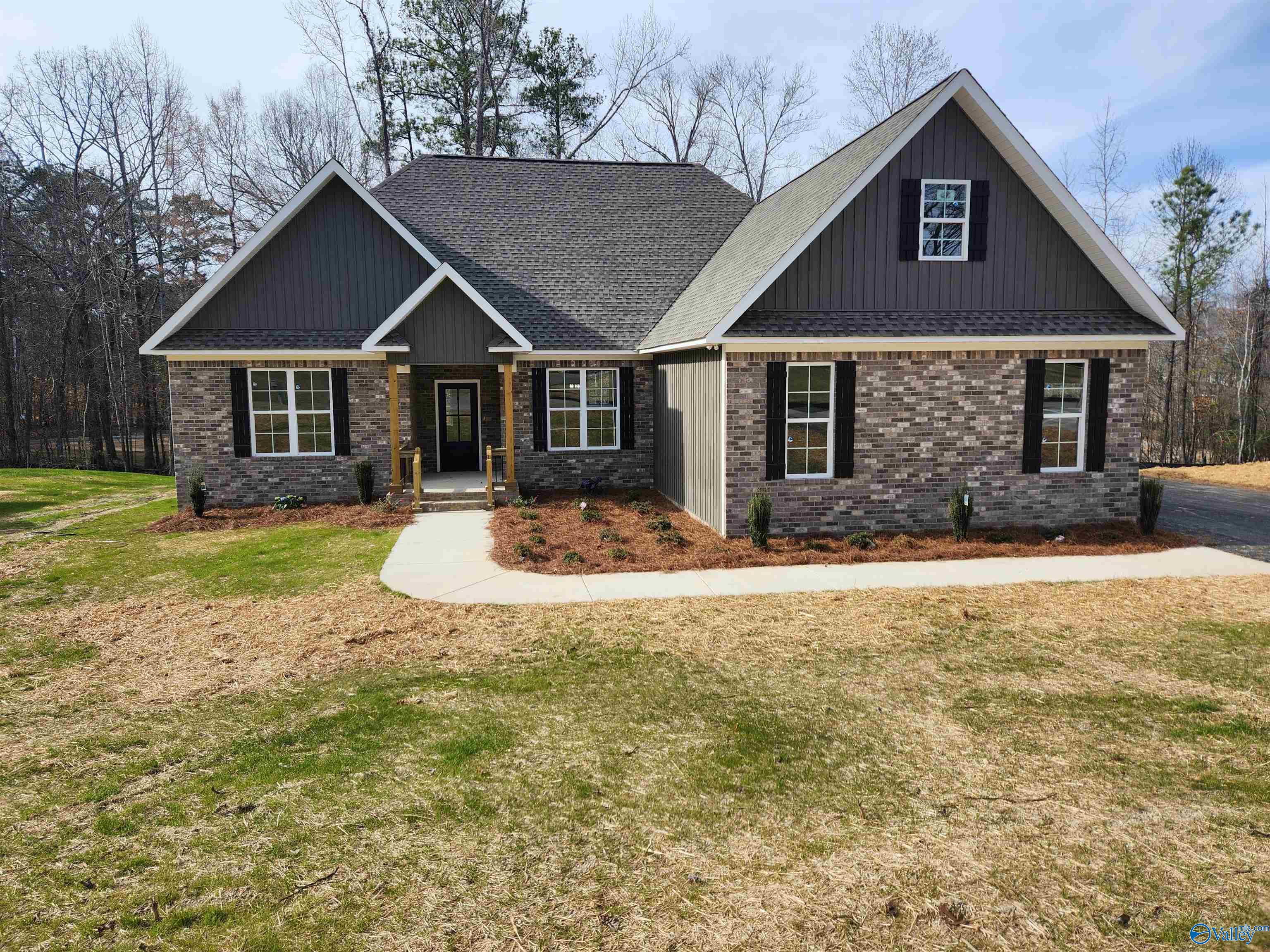 2428 Timber Lake Drive, Southside, Alabama image 1