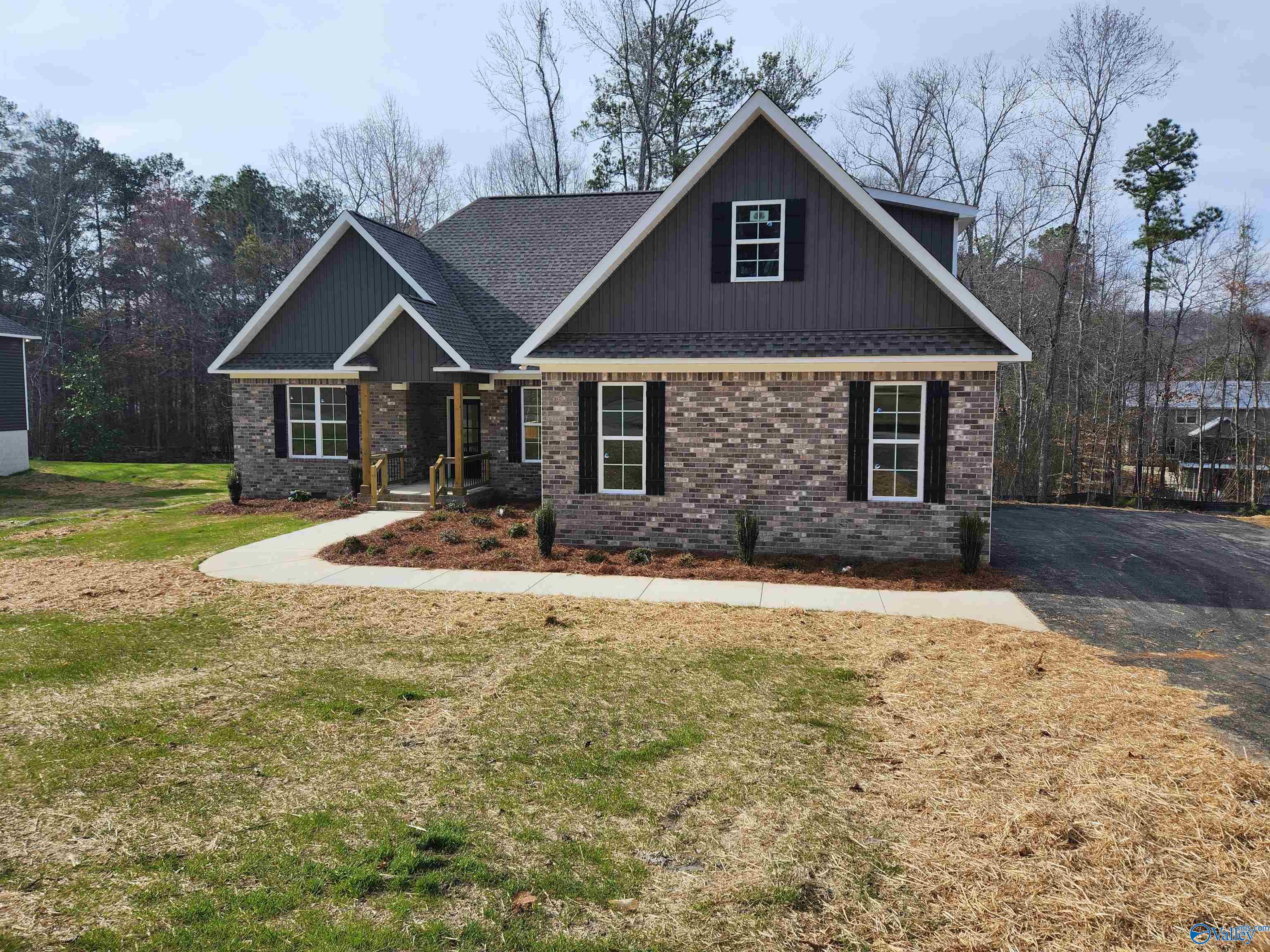 2428 Timber Lake Drive, Southside, Alabama image 3