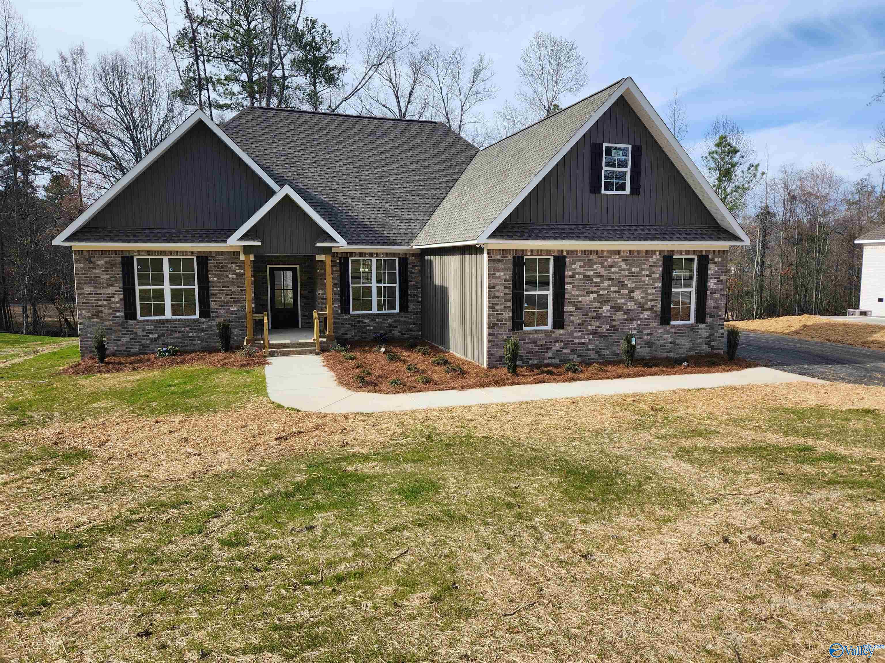 2428 Timber Lake Drive, Southside, Alabama image 2