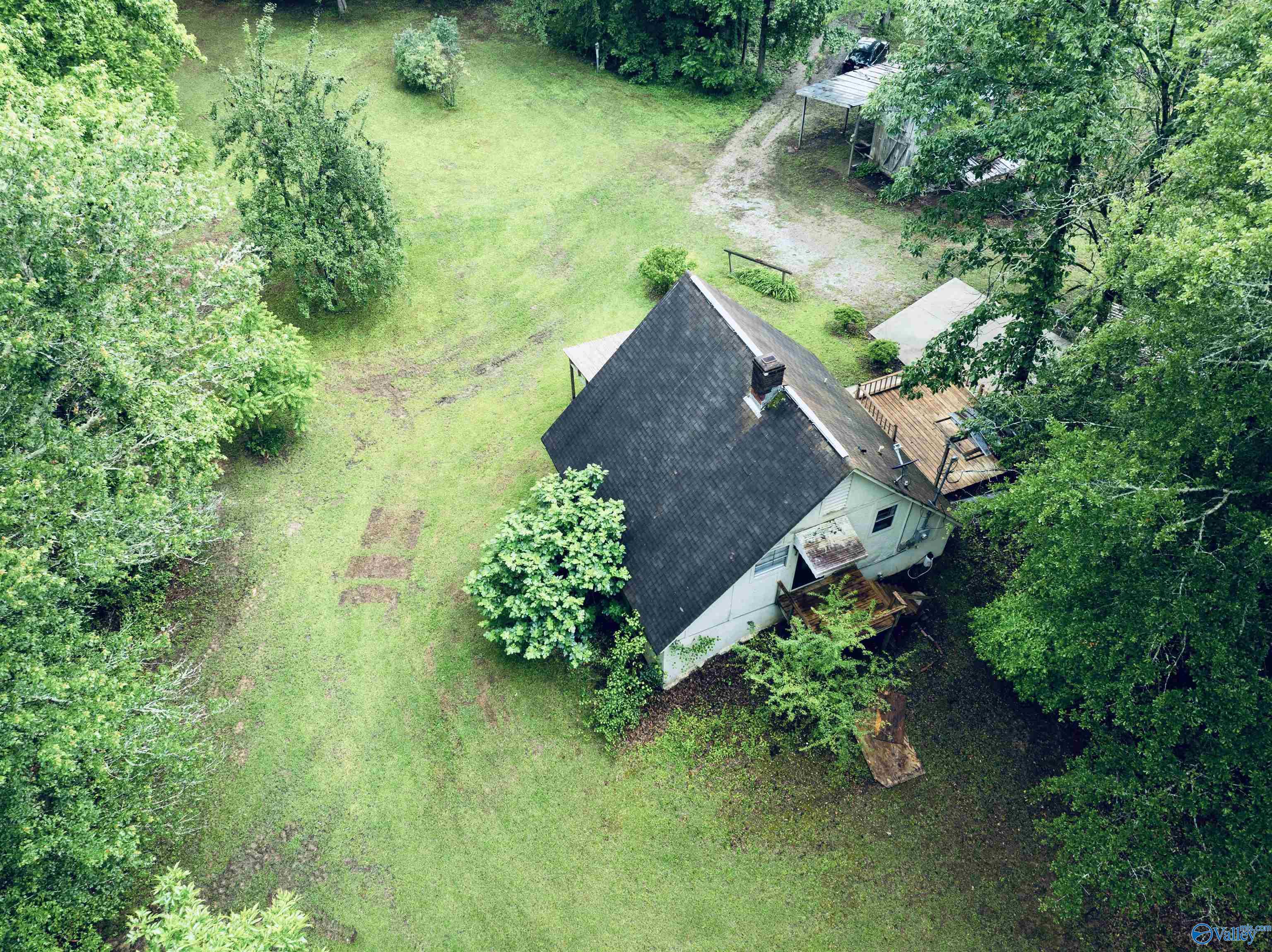 1790 Mt View Road, Wellington, Alabama image 3