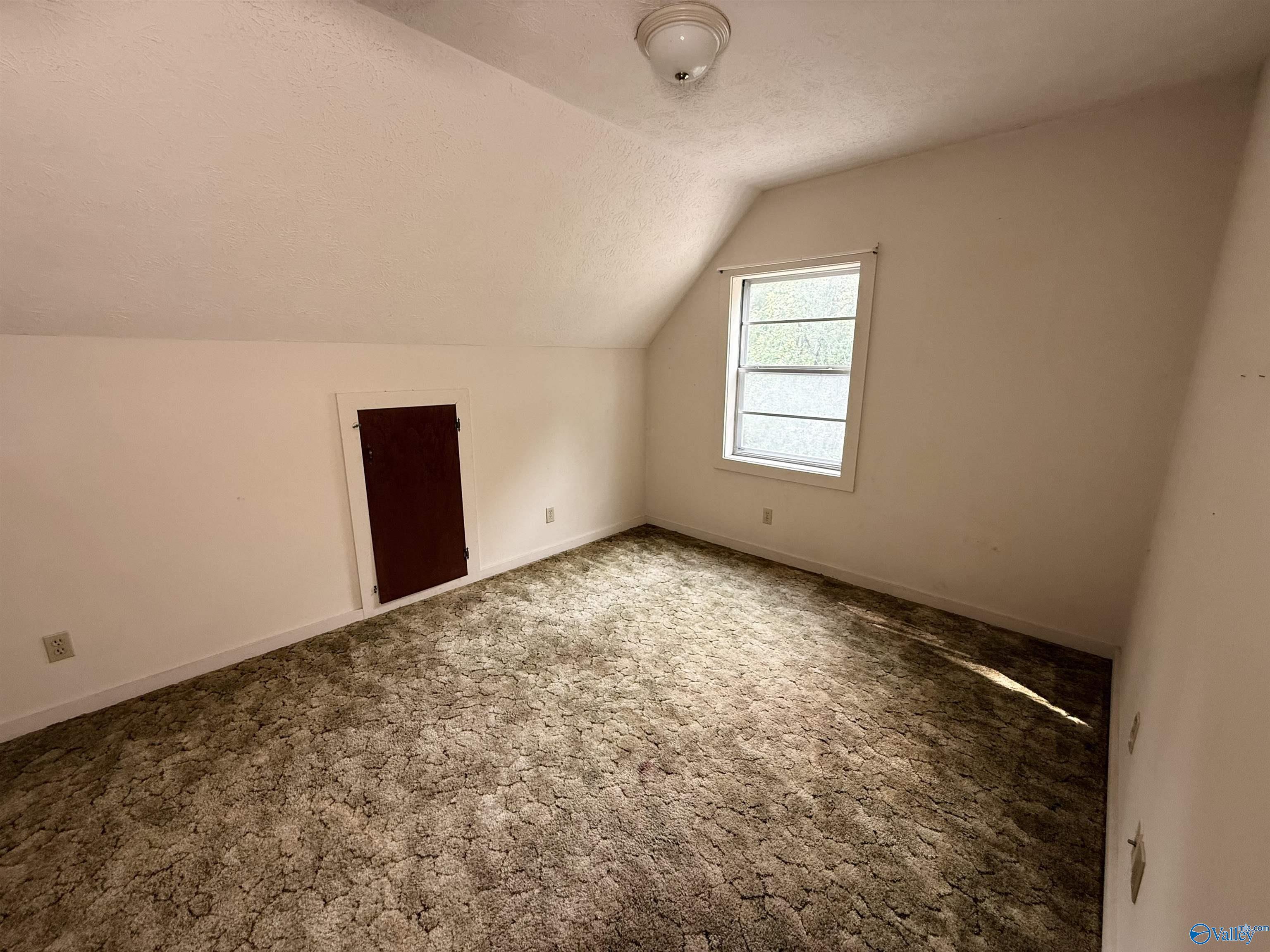 1790 Mt View Road, Wellington, Alabama image 21