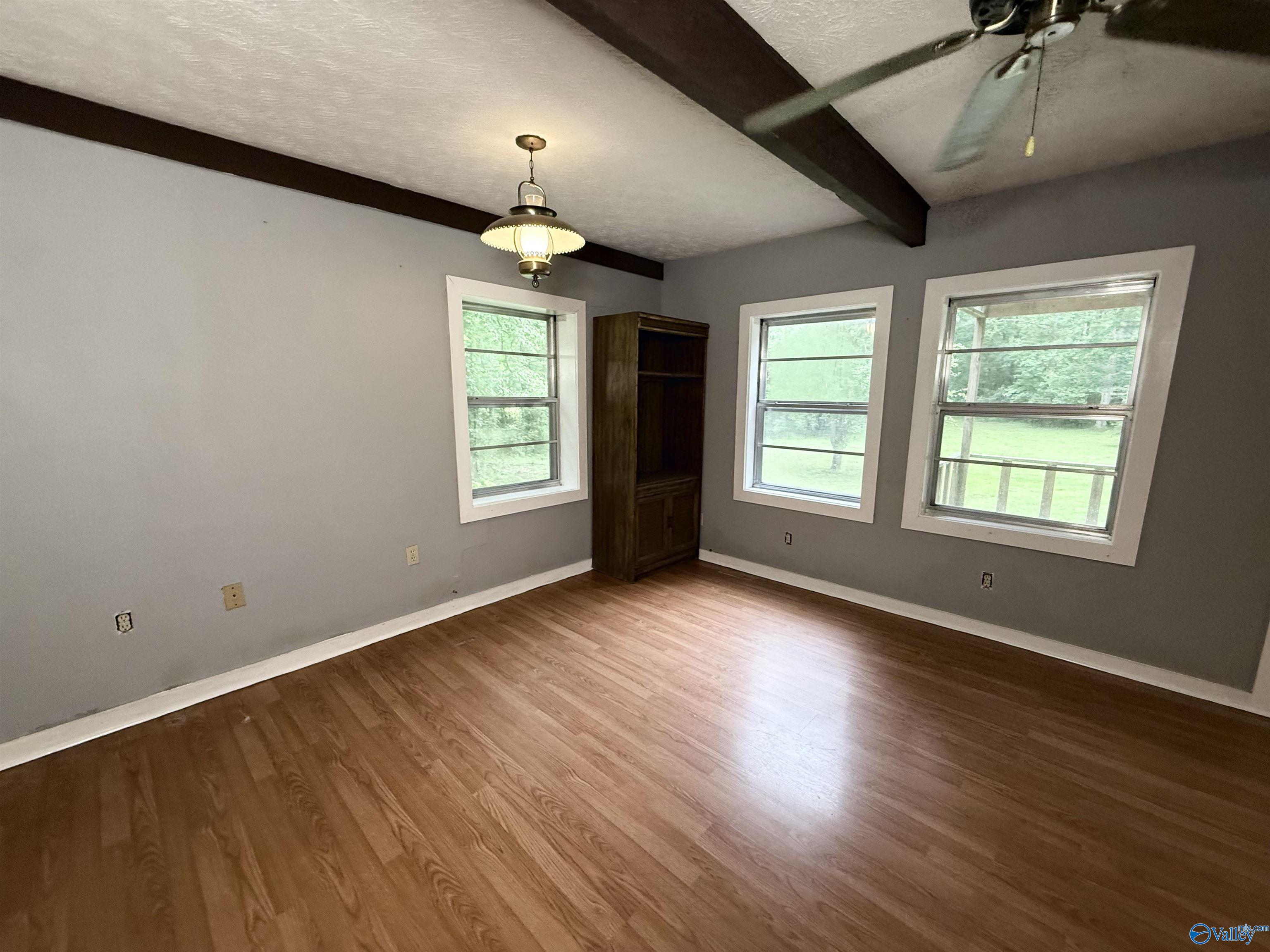1790 Mt View Road, Wellington, Alabama image 8