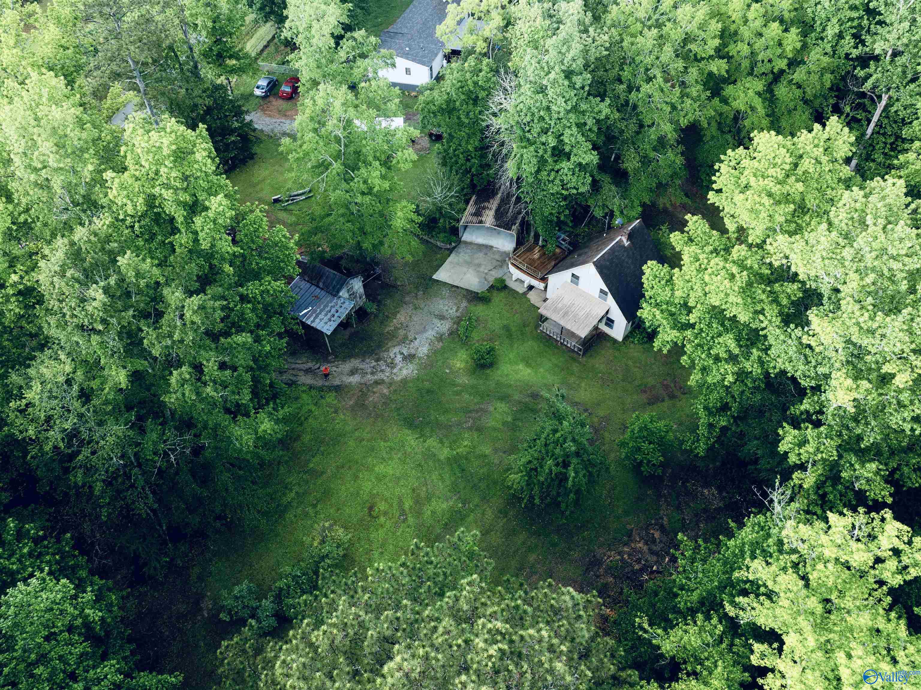 1790 Mt View Road, Wellington, Alabama image 1
