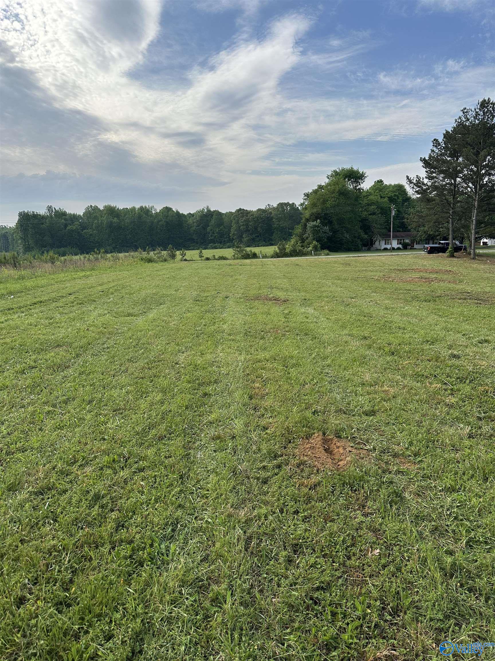 14709 Elk River Mills Road, Athens, Alabama image 7