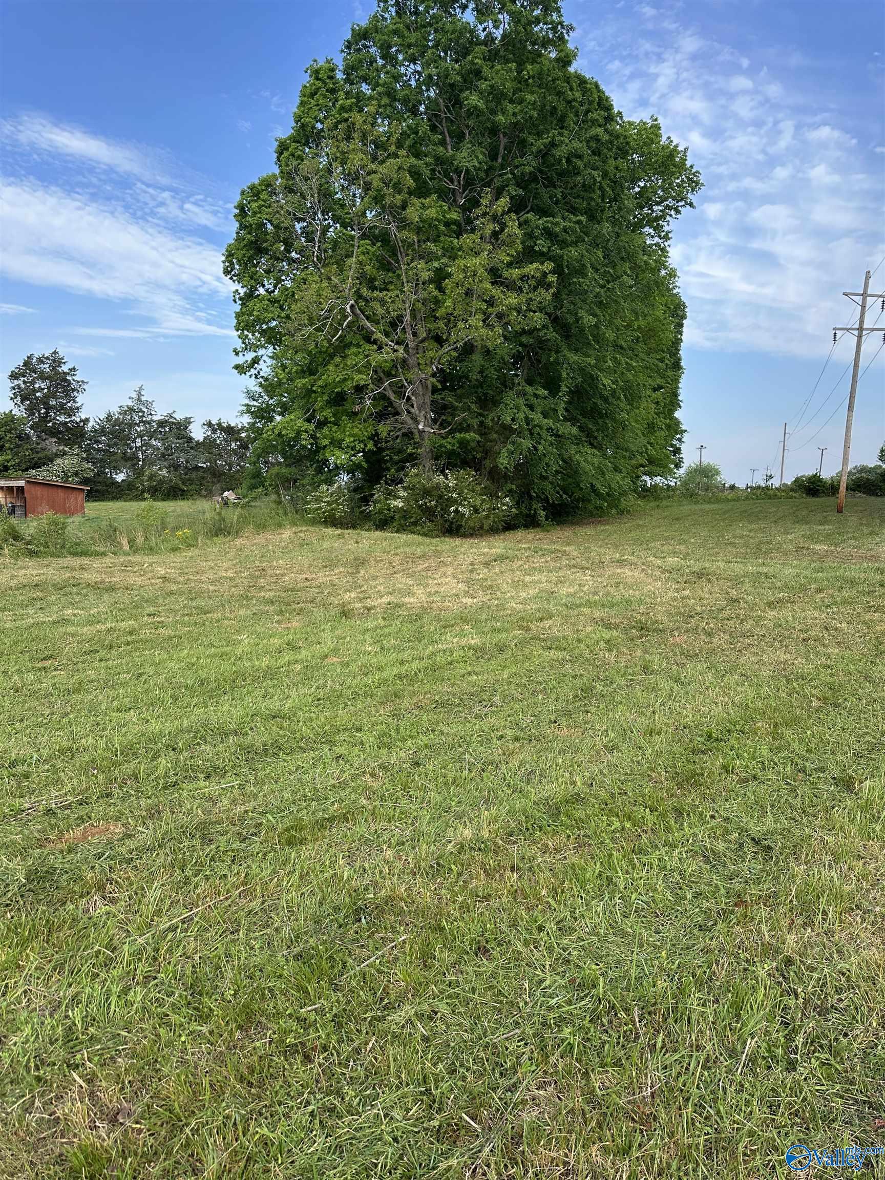 14709 Elk River Mills Road, Athens, Alabama image 9