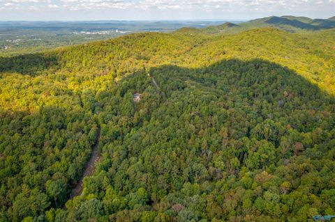 Vacant Land For Sale - #2 32 ACRES Highland Woods<br/> Jacksonville, AL 36265