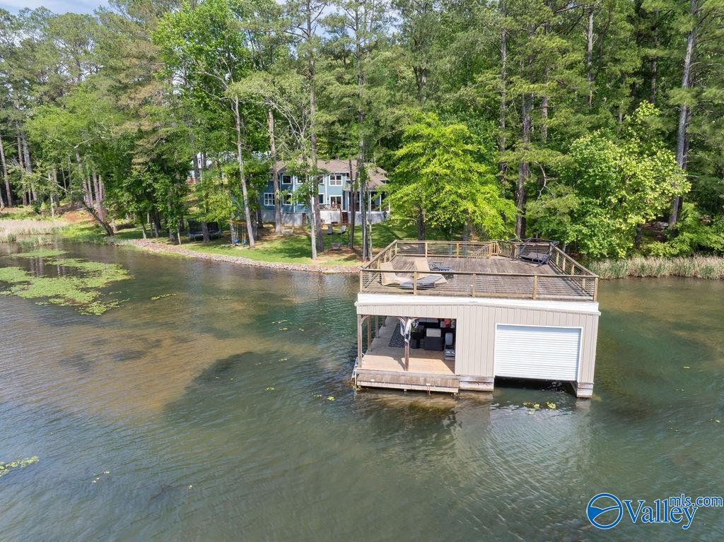 2333 White Elephant Road, Grant, Alabama image 4