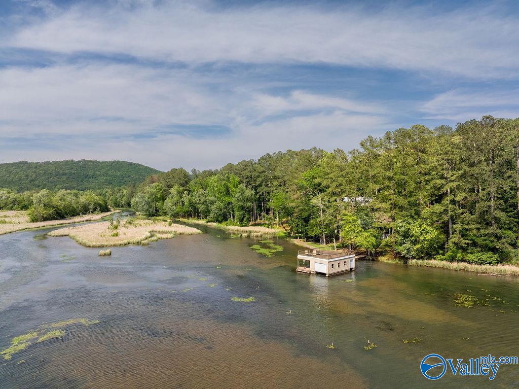 2333 White Elephant Road, Grant, Alabama image 7