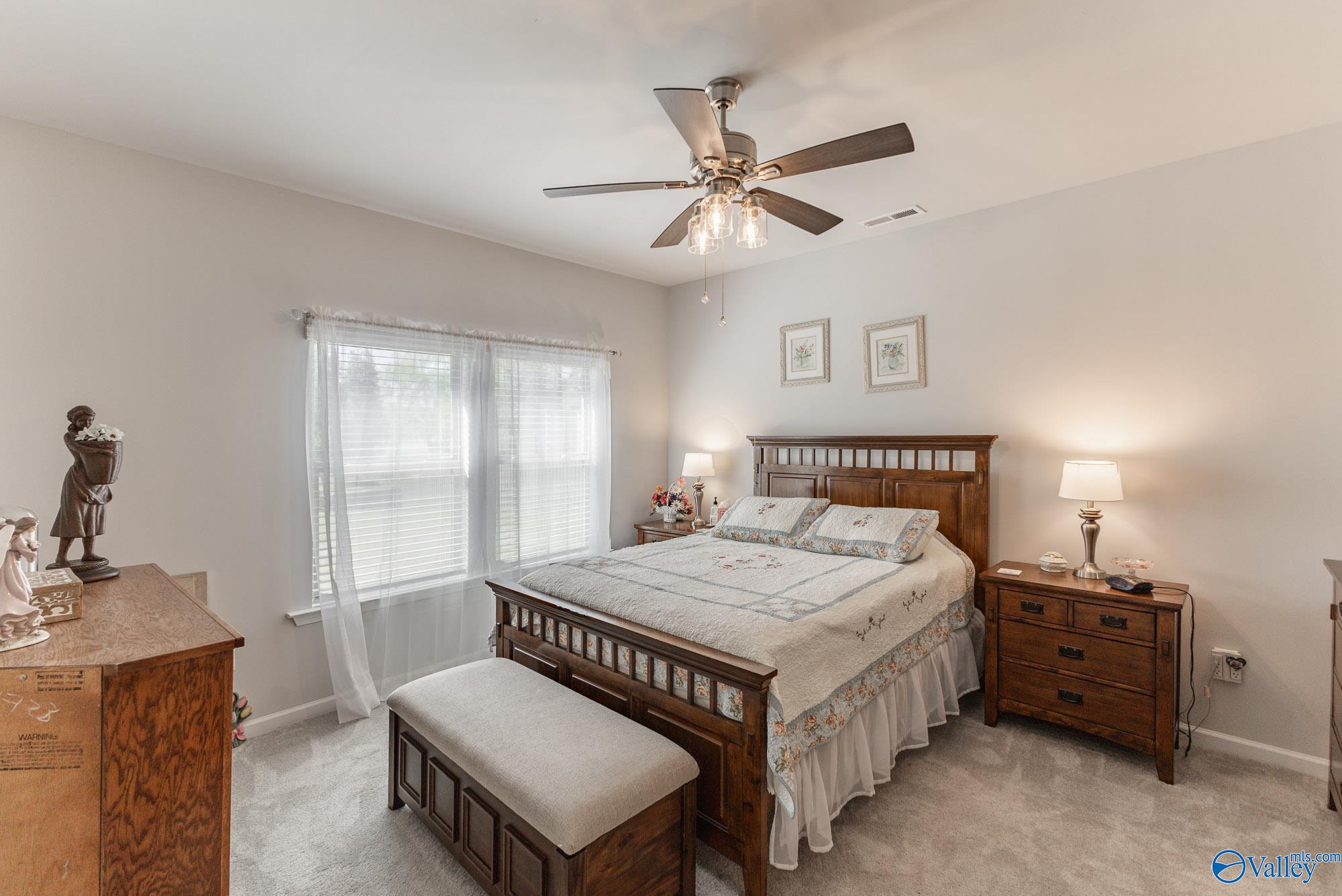 6009 Margie Collins Drive, Owens Cross Roads, Alabama image 13