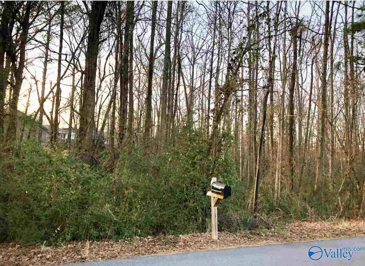 .75ac Wedgewood Circle, Arab, Alabama image 2